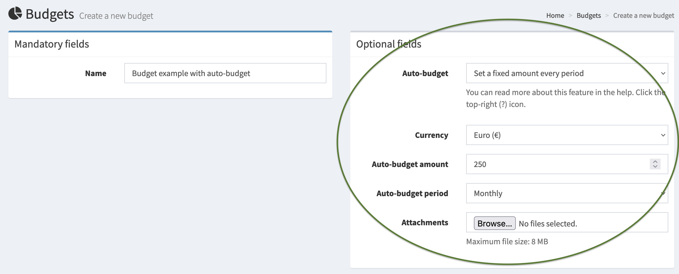 Basic auto budget